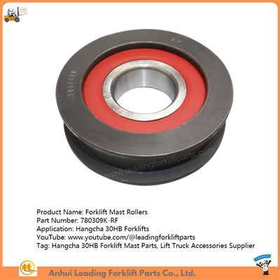 Puleggia a catena del carrello elevatore